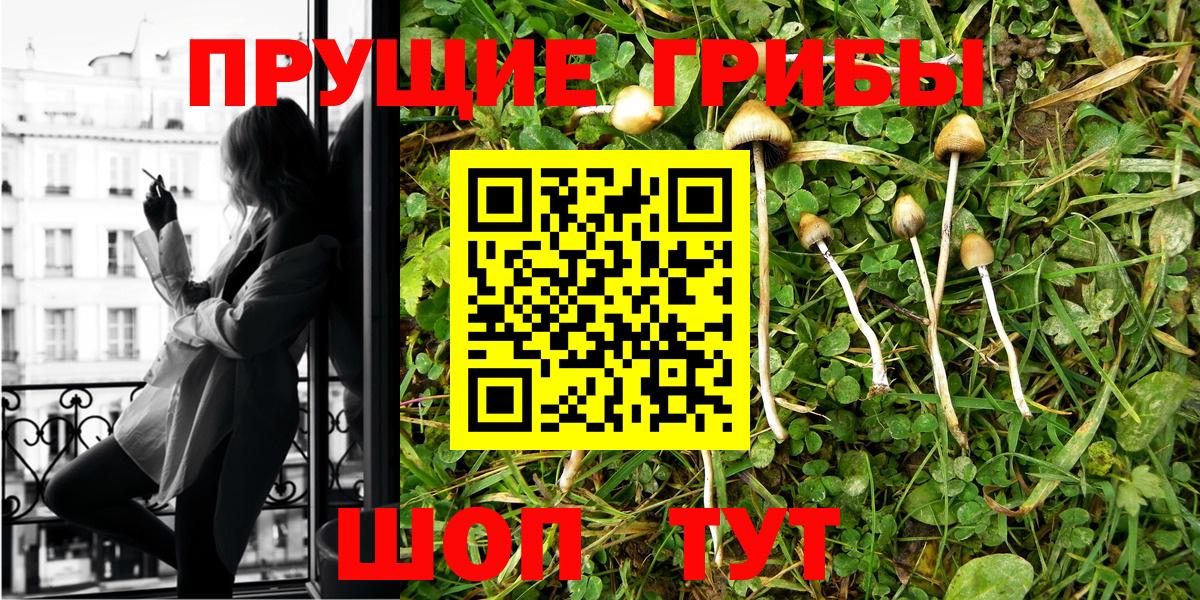 Псилоцибиновые грибы MAGIC MUSHROOMS  Вход с VPN  что такое   Вышний Волочёк 